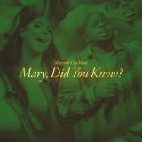 Mary Did You Know (Radio)