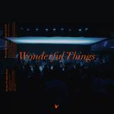 Wonderful Things (Live)