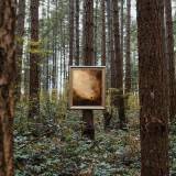 the cost (given for us)