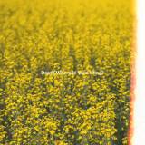 Death Where Is Your Sting