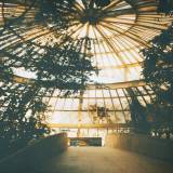 Body And The Blood (Live)