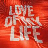 Love Of My Life (Live)