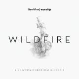 Wildfire (Live Worship from New Wine 2015)