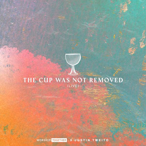 The Cup Was Not Removed (Live)