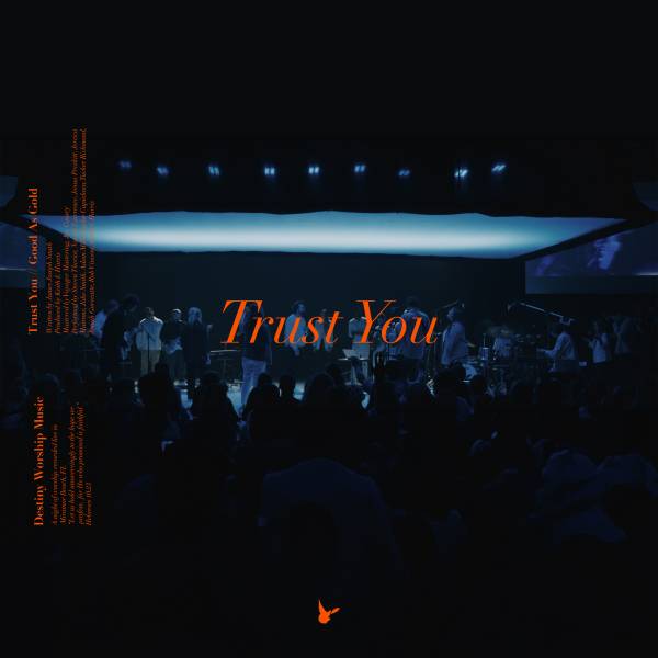 Trust You (Live)