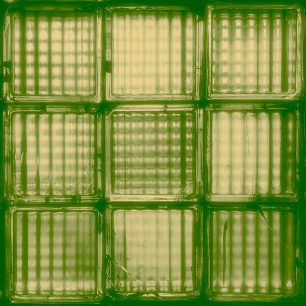 First Light / Last Word