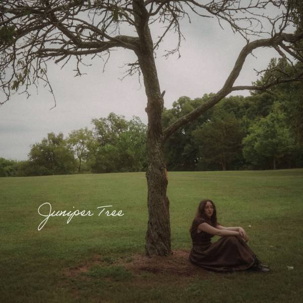 Juniper Tree