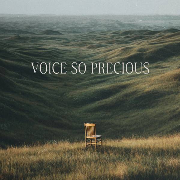 Voice So Precious