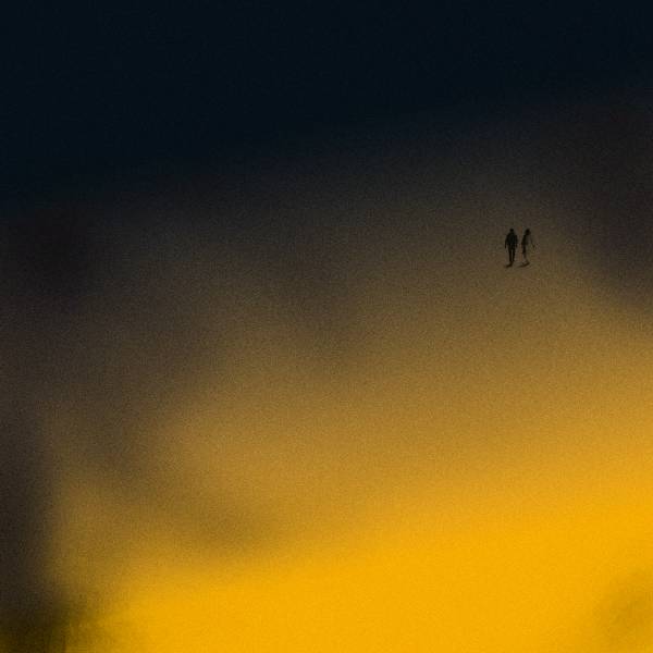 Every Night // Every Day