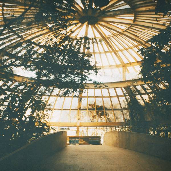 Yahweh We Cry Holy (Live)