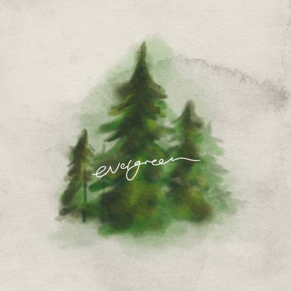 Evergreen