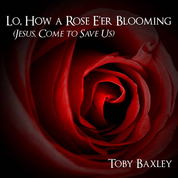 Lo How A Rose E'er Blooming (Jesus Come To Save Us)
