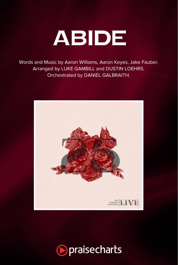 The Worship Initiative Volume 25