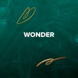 Christmas Worship Songs about Wonder