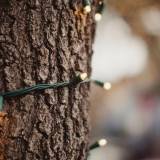 The Songs Of Christmas - Silent Night