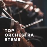 Top Orchestra Stems