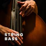 New String Bass Charts