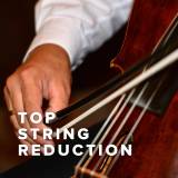 Top Songs with String Reduction