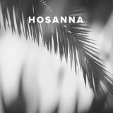 Worship Songs about Hosanna
