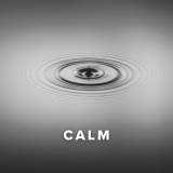 Christian Worship Songs about Calm