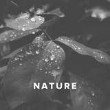 Worship Songs about Nature