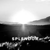 Worship Songs about Splendor