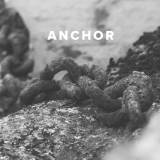 Worship Songs about the Anchor