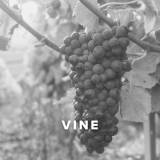 Worship Songs about the Vine