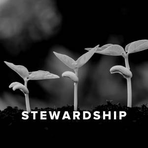 Worship Songs and Hymns about Stewardship