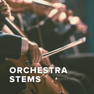 New Orchestra Track Stems Just Added