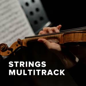 Songs With Strings MultiTrack