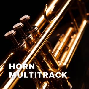Songs With Horn MultiTrack