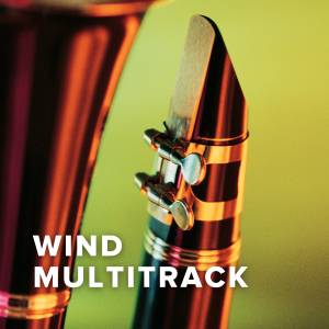 Songs With Wind MultiTrack
