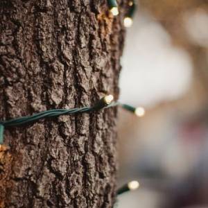 The Songs Of Christmas - It's The Most Wonderful Time Of The Year The Songs Of Christmas - It's The Most Wonderful Time Of The Year