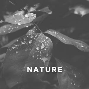 Worship Songs about Nature