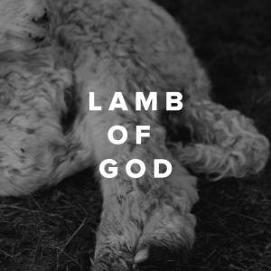 Worship Songs about the Lamb of God