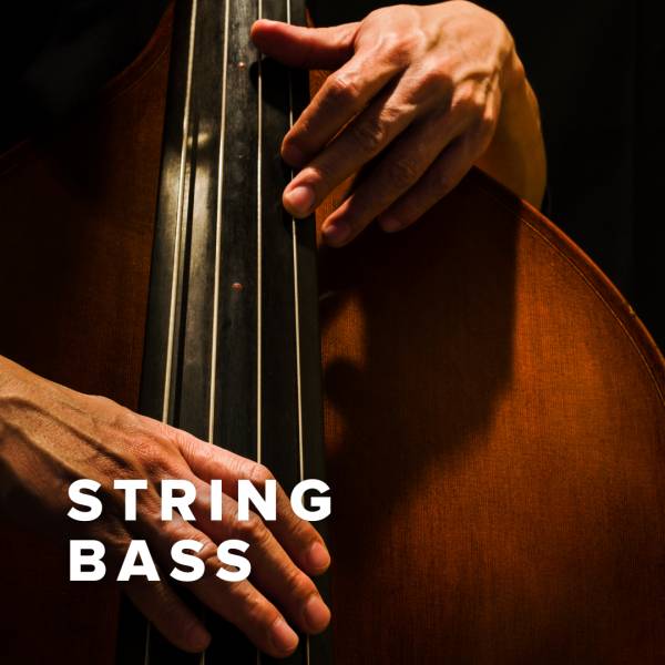 Sheet Music, Chords, & Multitracks for New String Bass Charts