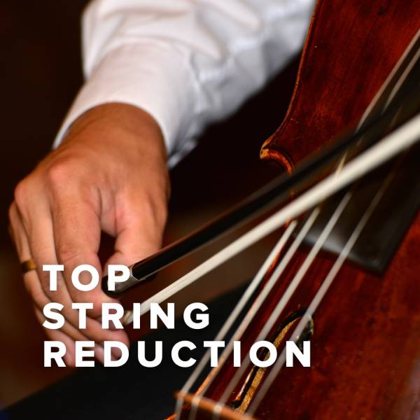 Sheet Music, Chords, & Multitracks for Top Songs with String Reduction