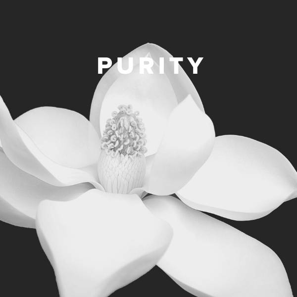 Sheet Music, Chords, & Multitracks for Worship Songs about Purity