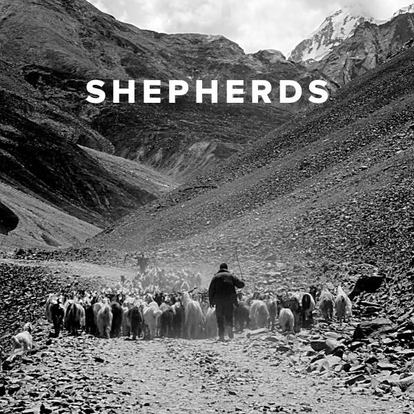 Sheet Music, Chords, & Multitracks for Worship Songs about Shepherds