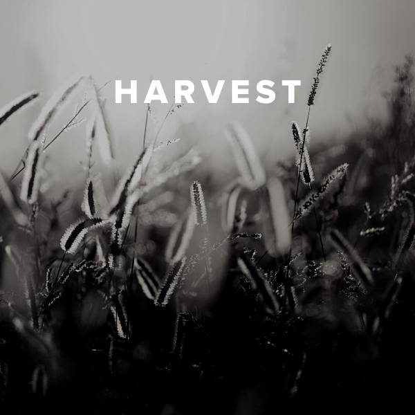 Sheet Music, Chords, & Multitracks for Worship Songs about the Harvest