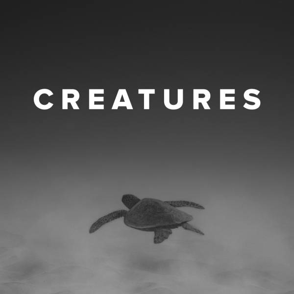 Sheet Music, Chords, & Multitracks for Worship Songs about Creatures